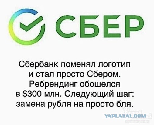 Фотки и картинки: юморные и красивые, забавные и милые 03.10.20