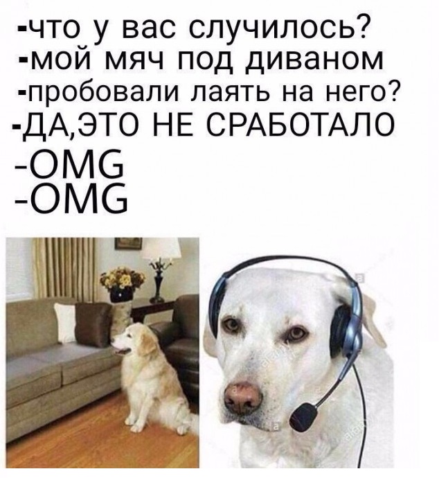 Бредзона 11.11.2020