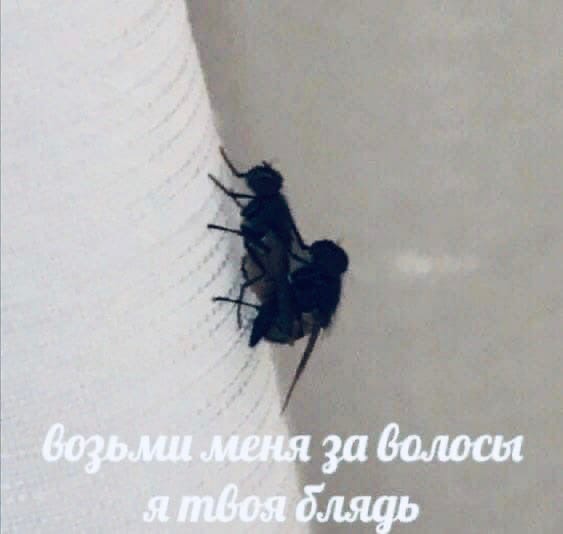 Слегка об этом