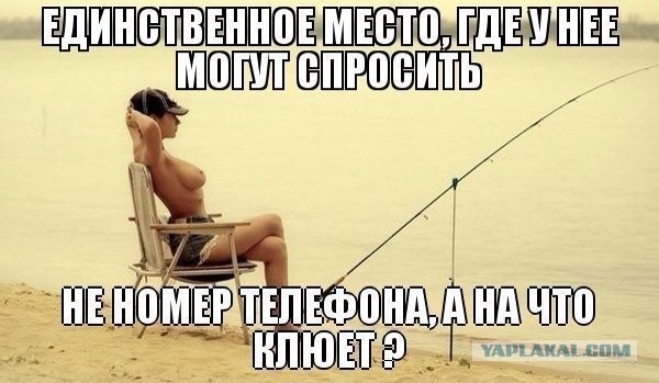 Весёлый полтишок 16.03