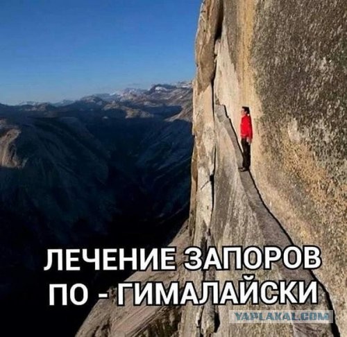 Весёлый полтишок 17.03