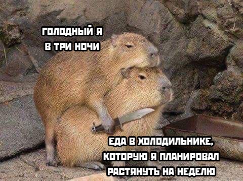 Весёлый полтишок 23.03