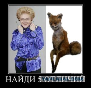 Половой ликбез. Контрацепция