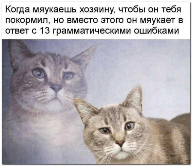 Картинки на вчера