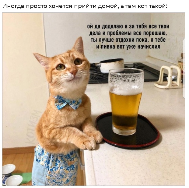 Так себе картинки 07.08.21