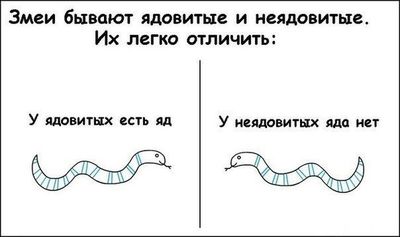 Медянка: Путают с гадюкой и убивают. Безобидная и полезная змея на грани вымирания из-за нашего невежества