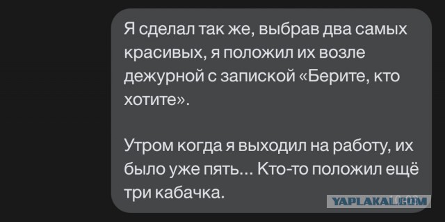 Добрые дела