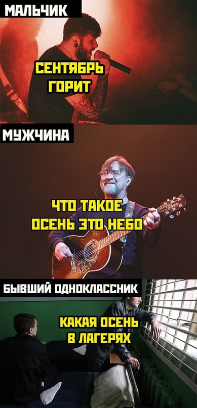 Весёлый полтишок 11.09