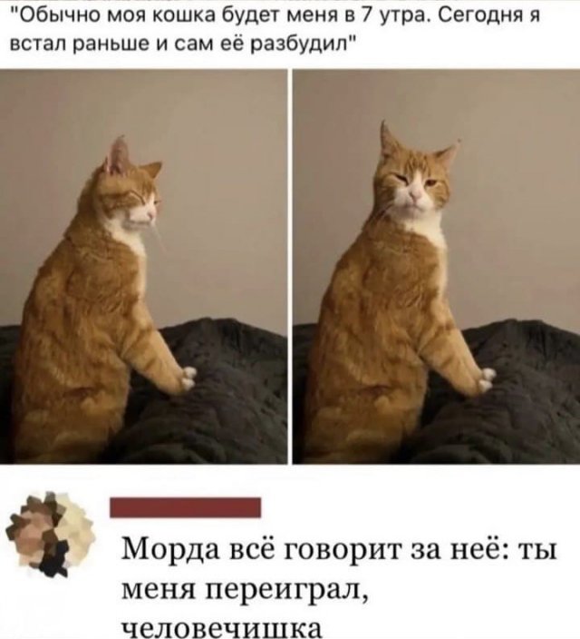 Пост картинок разных
