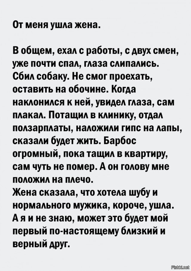 Так себе картинки 29.03.22