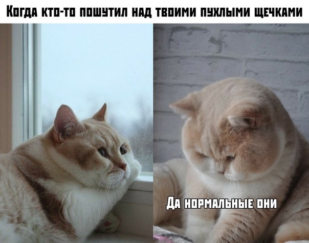 Так себе картинки 10.04.22