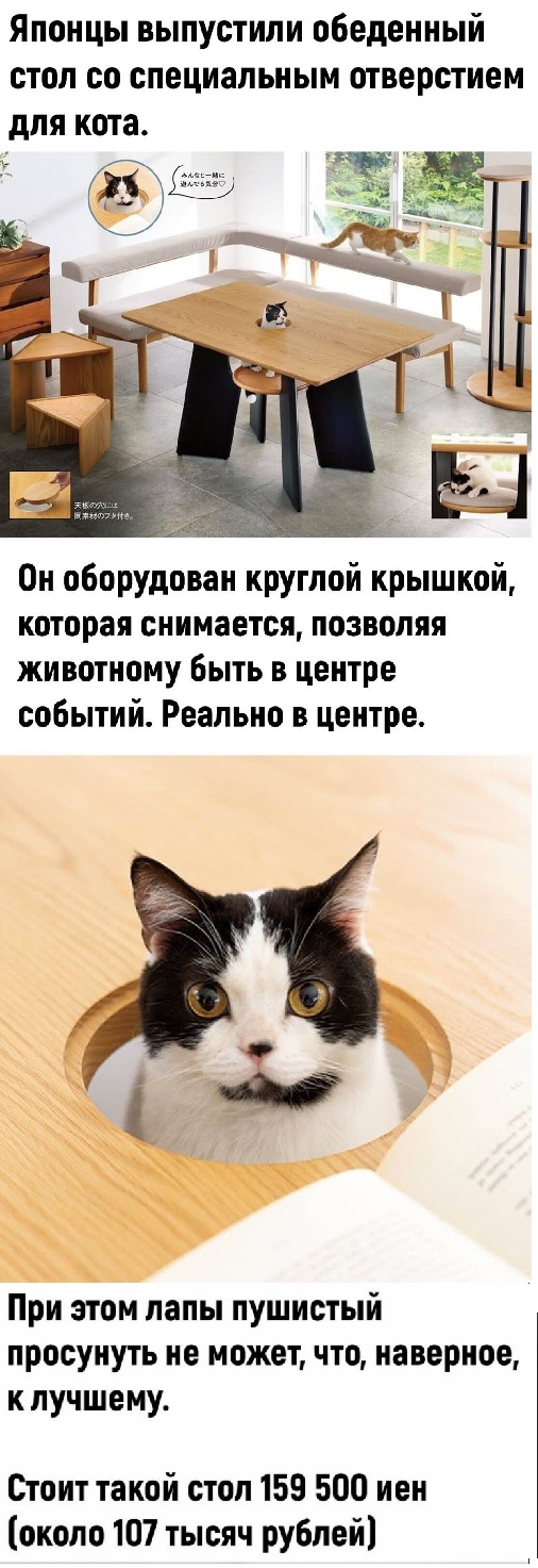 Картинки с надписями и всякие жизненные фразы