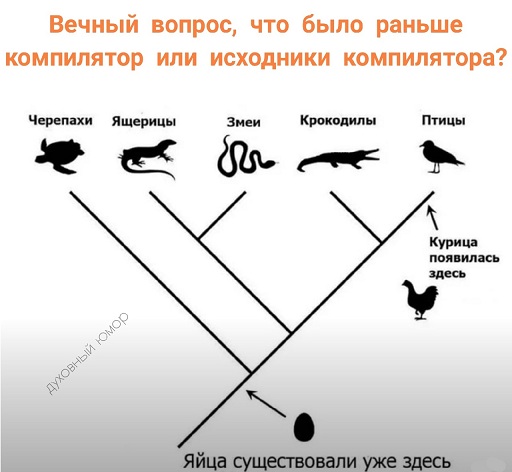 Наконец-то мы дома!