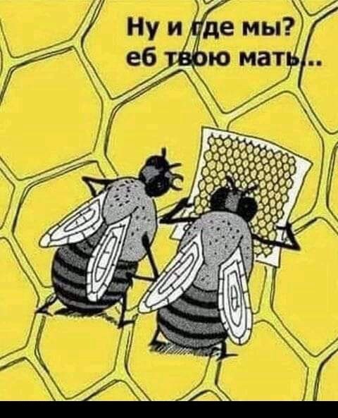 Воскресное похмелье баяном не испортишь