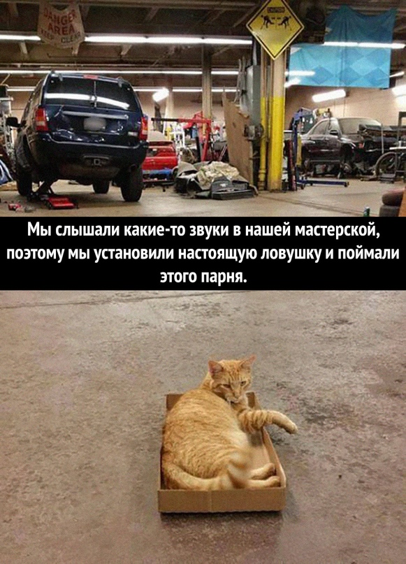 Картинки и мемы для настроения - 119