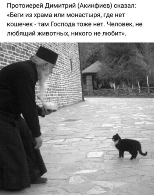 Картинки и мемы для настроения - 015
