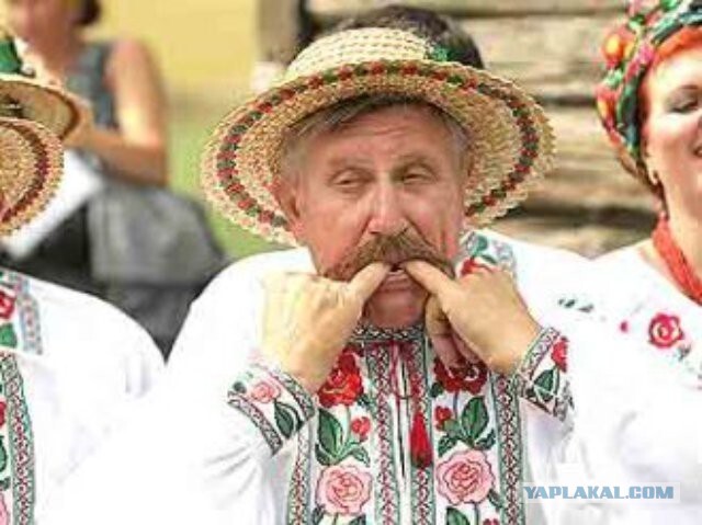 На дне древонасаждения в Ростове обсудили внешний вид сити-менеджера Логвиненко