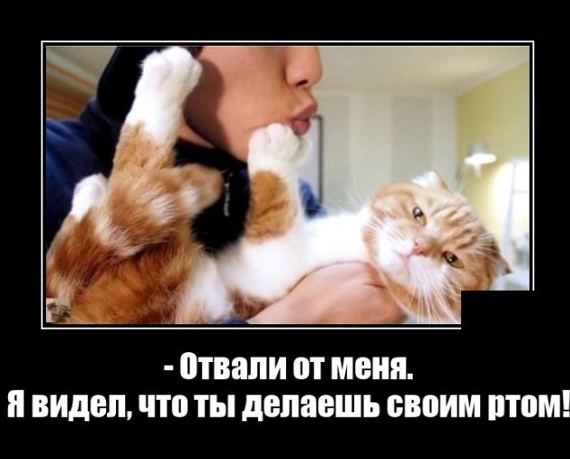 Весёлый полтишок 08.05.23