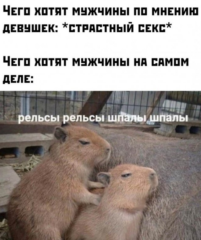Картинки и мемы, это май-чародей всяко разно - 177