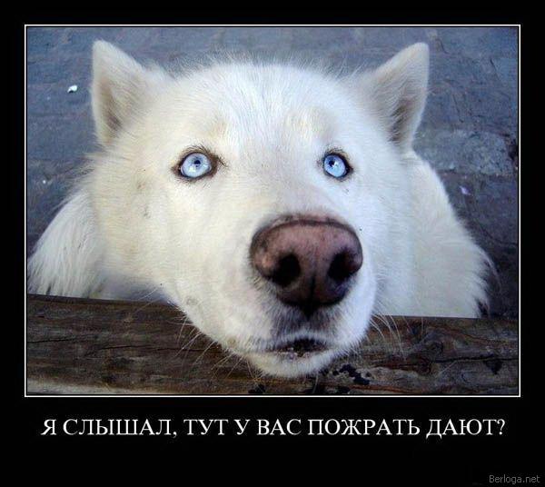 Картинки с надписями 09.07.23