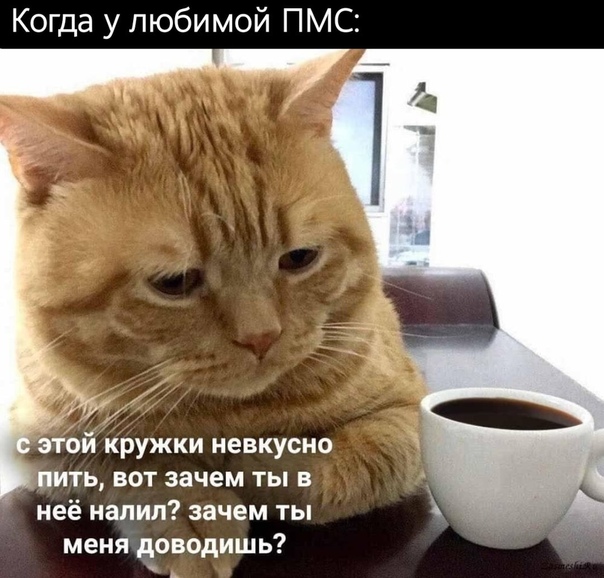 "Я ♥ ПМС"