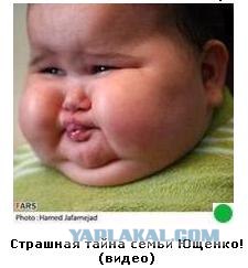 Автодемотиватор на ЯПе