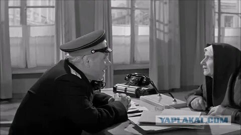 Почему в Австралии не едят кроликов, хотя их там сотни миллионов и причем тут биооружие?