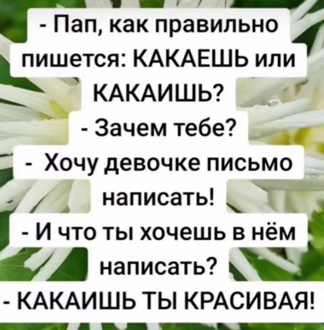 Веселые картинки к пятнице
