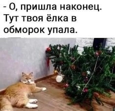 Картинков вам разных.