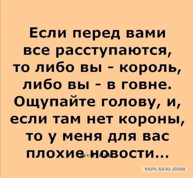 Так себе картинки 19.02.25