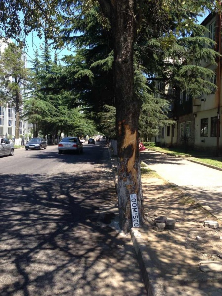 Погиб Георгий Тевзадзе