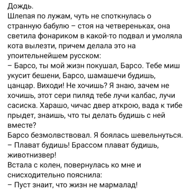 Так себе картинки 20.07.25