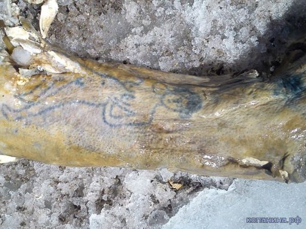 Самая кровавая экспедиция в истории альпинизма