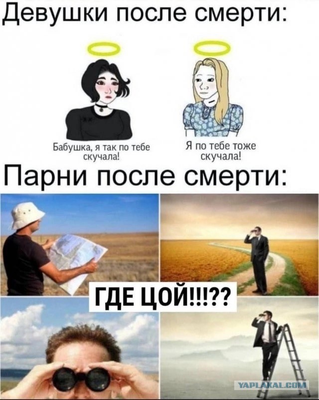 Веселые картинки в понедельник (25.08)
