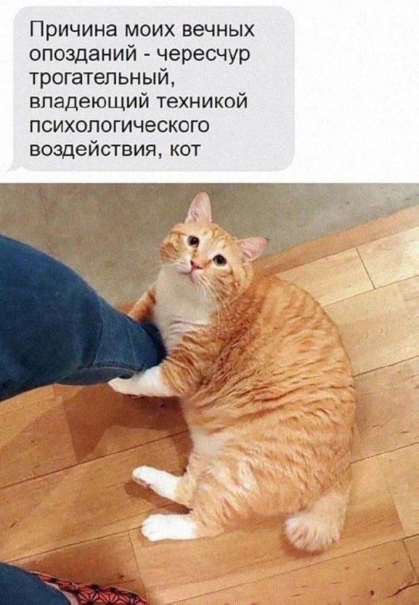 Веселые картинки в понедельник (22.09)