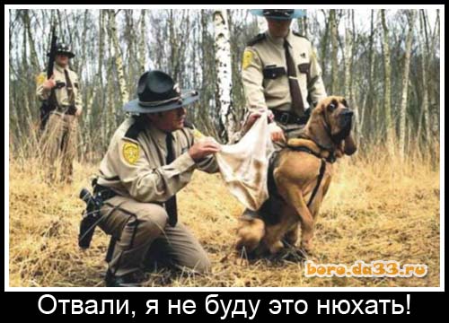 Картинки среды
