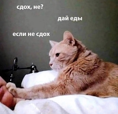 Картинки для деградации 80 (разной степени свжести)