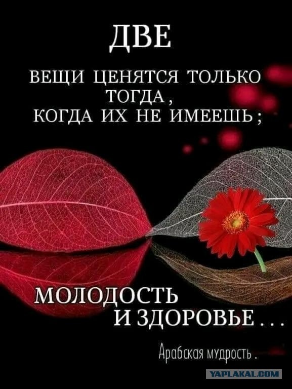 Картинки для деградации 82 (разной степени свежести)