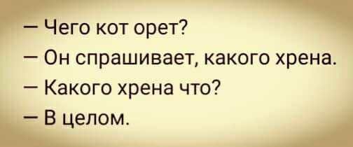 Подборка зевающих котов