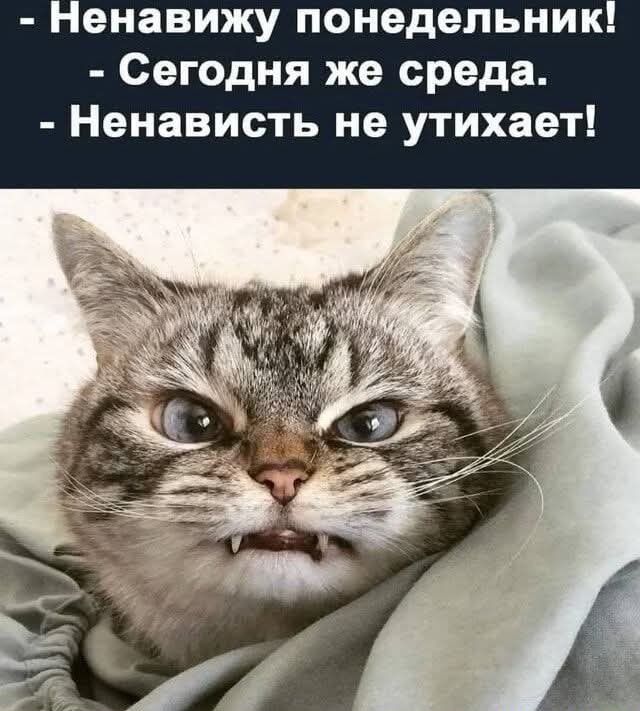 Маленькая пятница 11.02