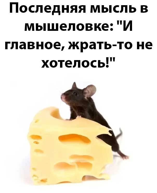 Среды картинки