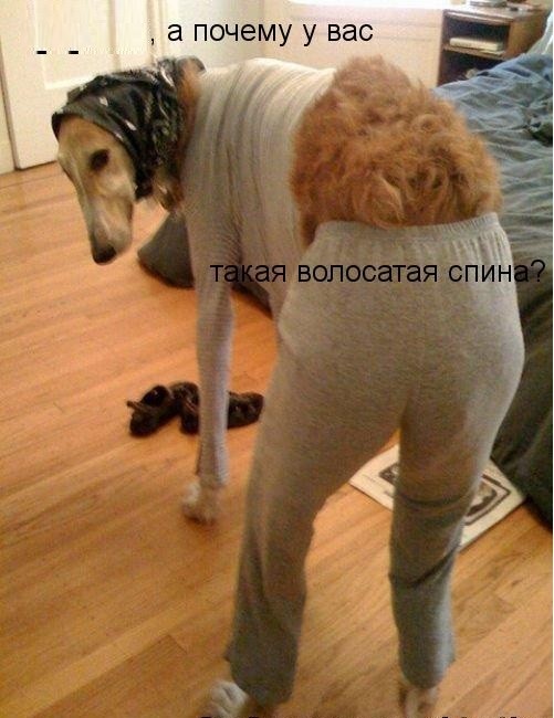 Так себе картинки 22.06.26