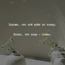 Про паникёрство из Тюмени