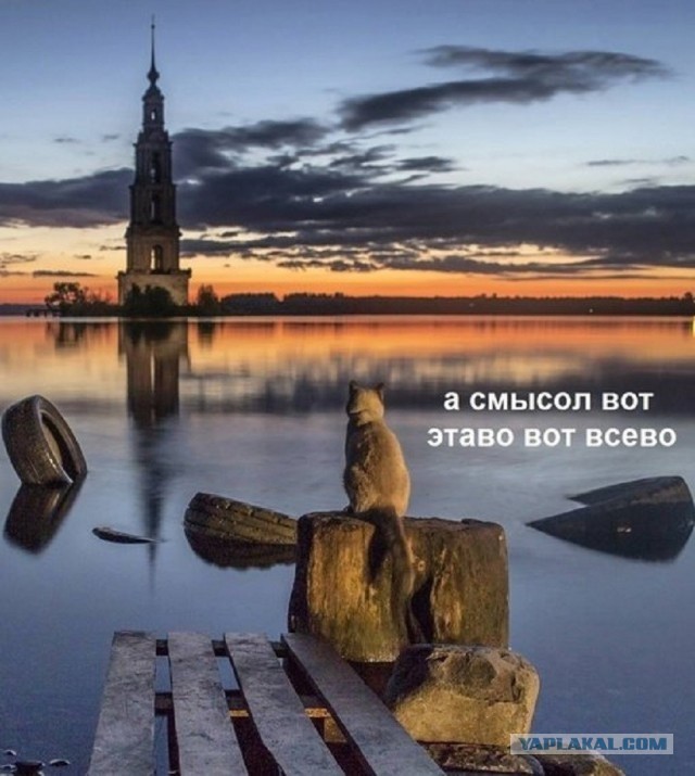 Так себе картинки 30.06.26
