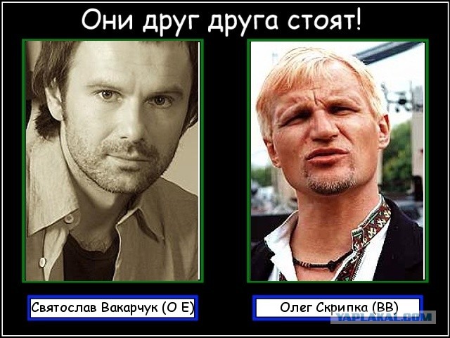 Они друг друга стоят!