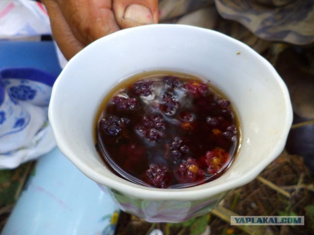Рыбалка в Астрахани
