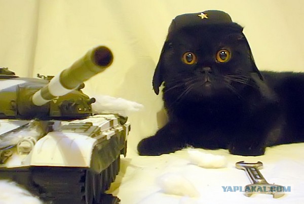 Коробка из прошлого