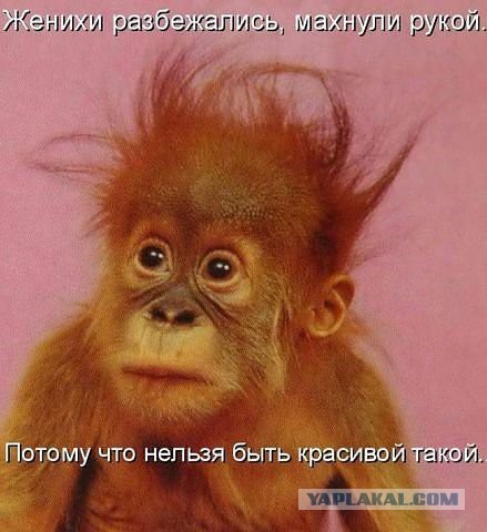 Поднимаем настроение