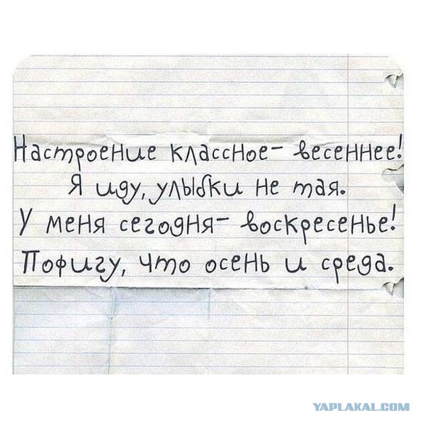 Немного позитива на пятницу