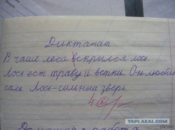 Гениальные ответы на контрольных работах...
